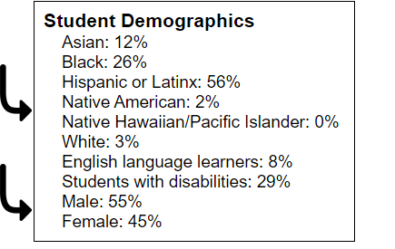 sample student demographics